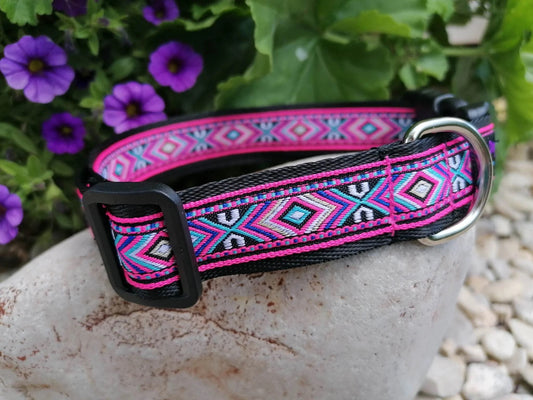 Hundehalsband 2.5cm "Zara"