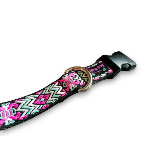 Hundehalsband 2.5cm  "Samia"