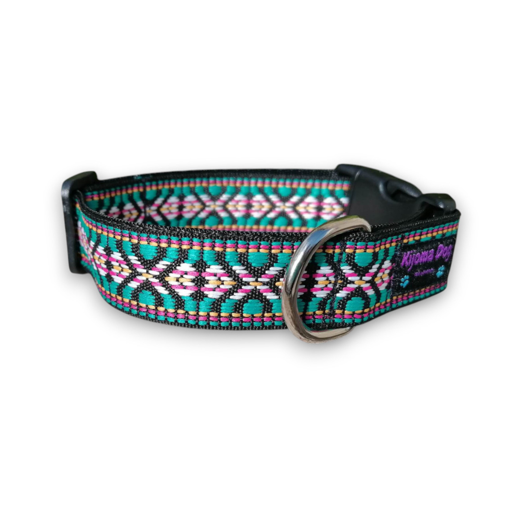 Hundehalsband 2.5cm  "Amar"