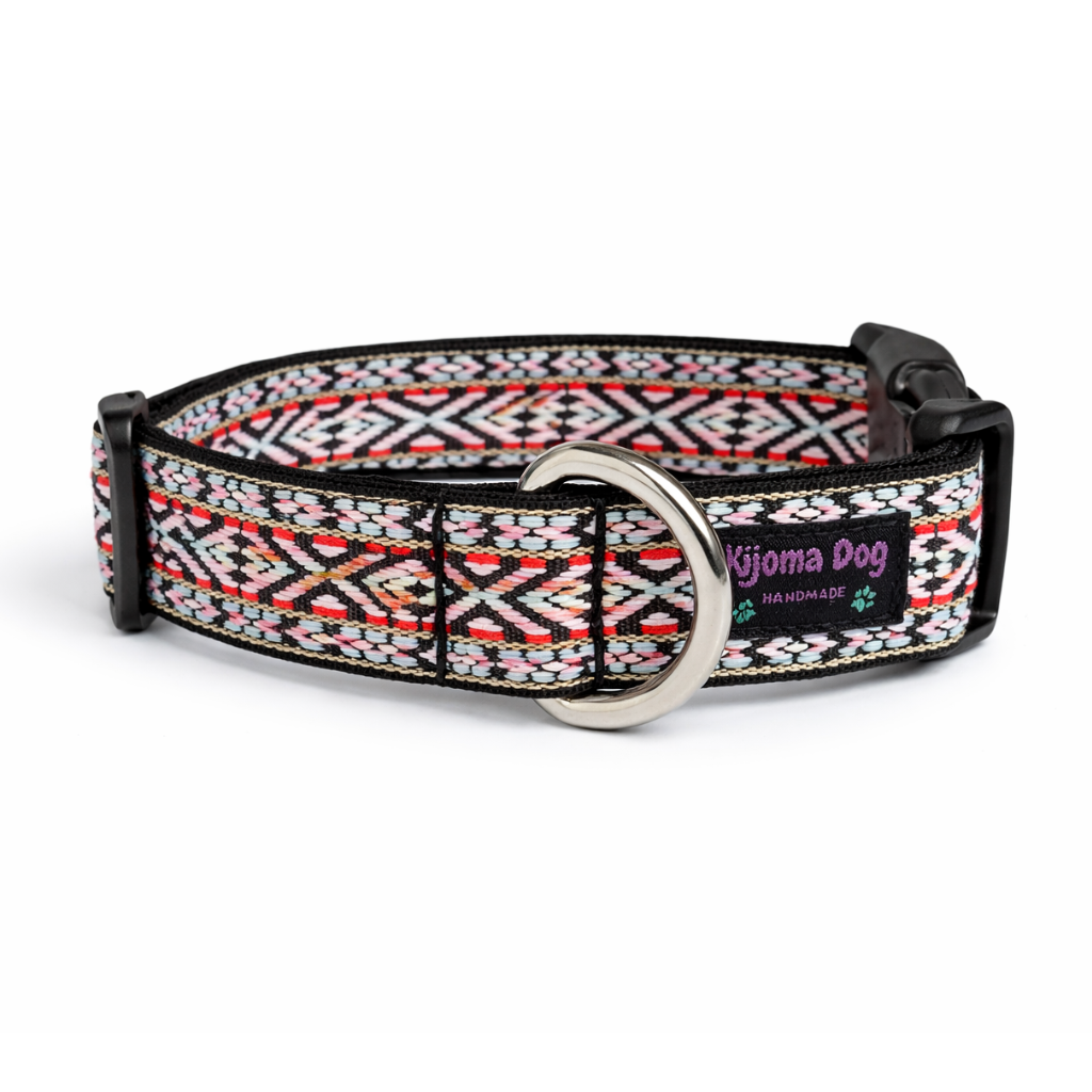 Hundehalsband 2.5cm  "Aska"