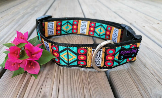 Hundehalsband 3.2cm  "Ayo"