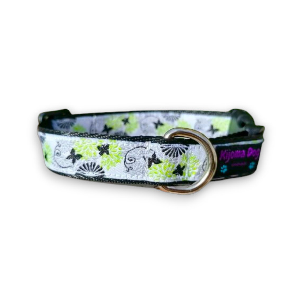 Hundehalsband 2cm  "Dina"