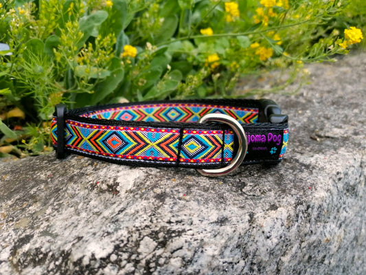 Hundehalsband 2cm  "Django"