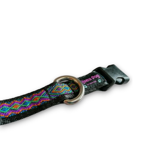 Hundehalsband 2cm  "Eloy"