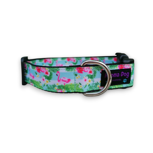 Hundehalsband 2.5cm  "Jolin"