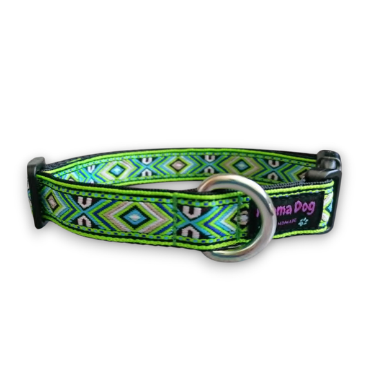 Hundehalsband 2cm  "Kiwi"