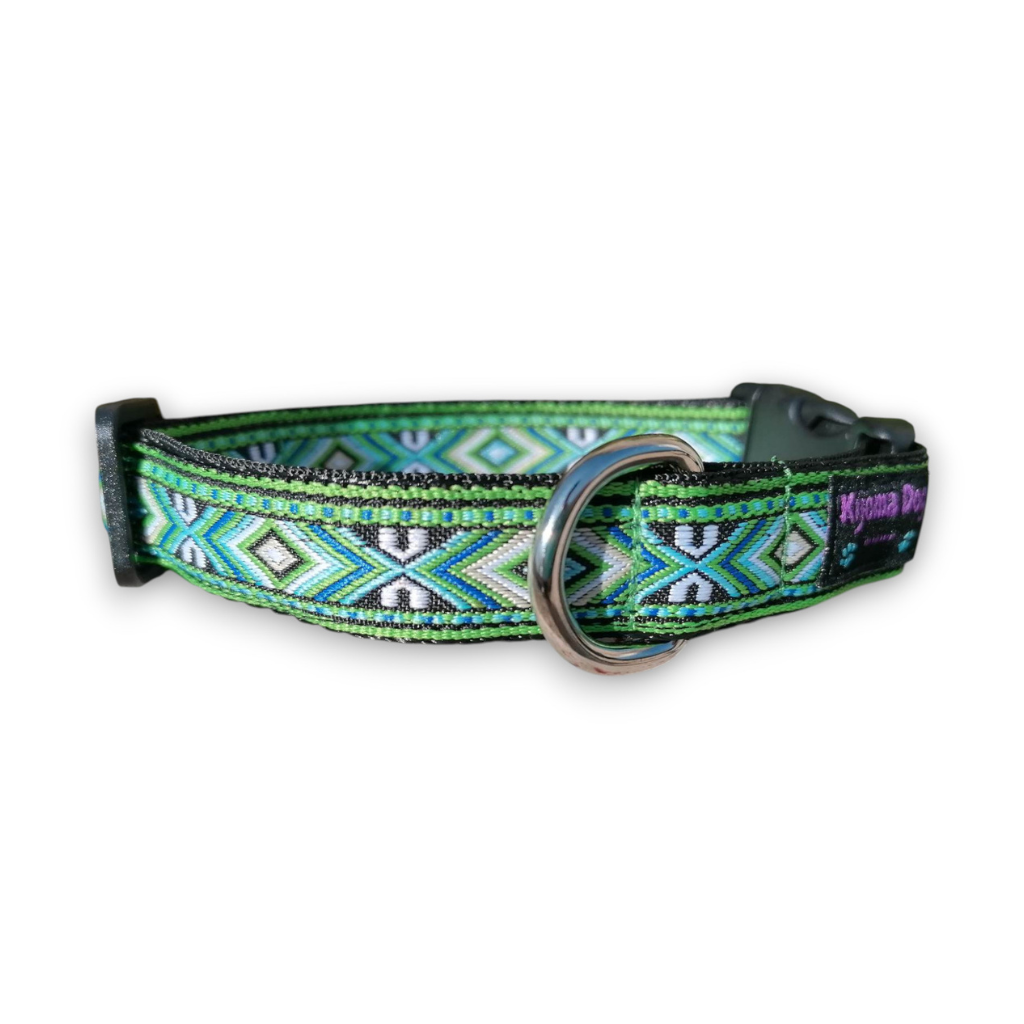 Hundehalsband 2cm  "Kiwi"
