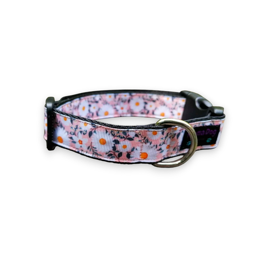 Hundehalsband 2.5cm  "Maja"