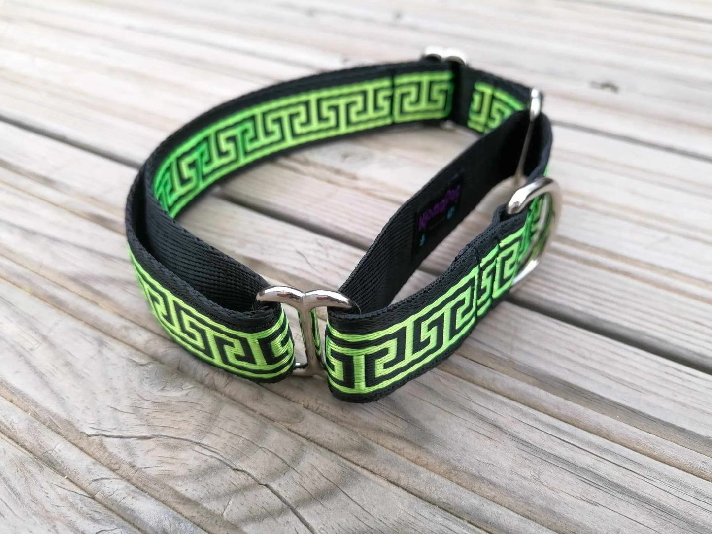 Hundehalsband Martingale 2.5cm "Paco"