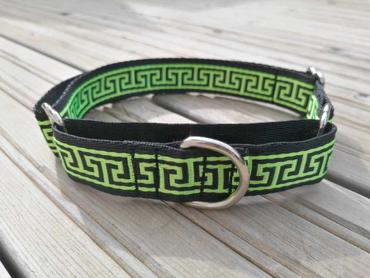 Hundehalsband Martingale 2.5cm "Paco"