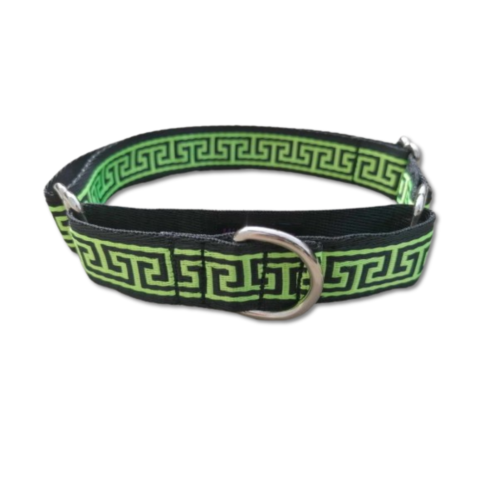 Hundehalsband Martingale 2.5cm "Paco"