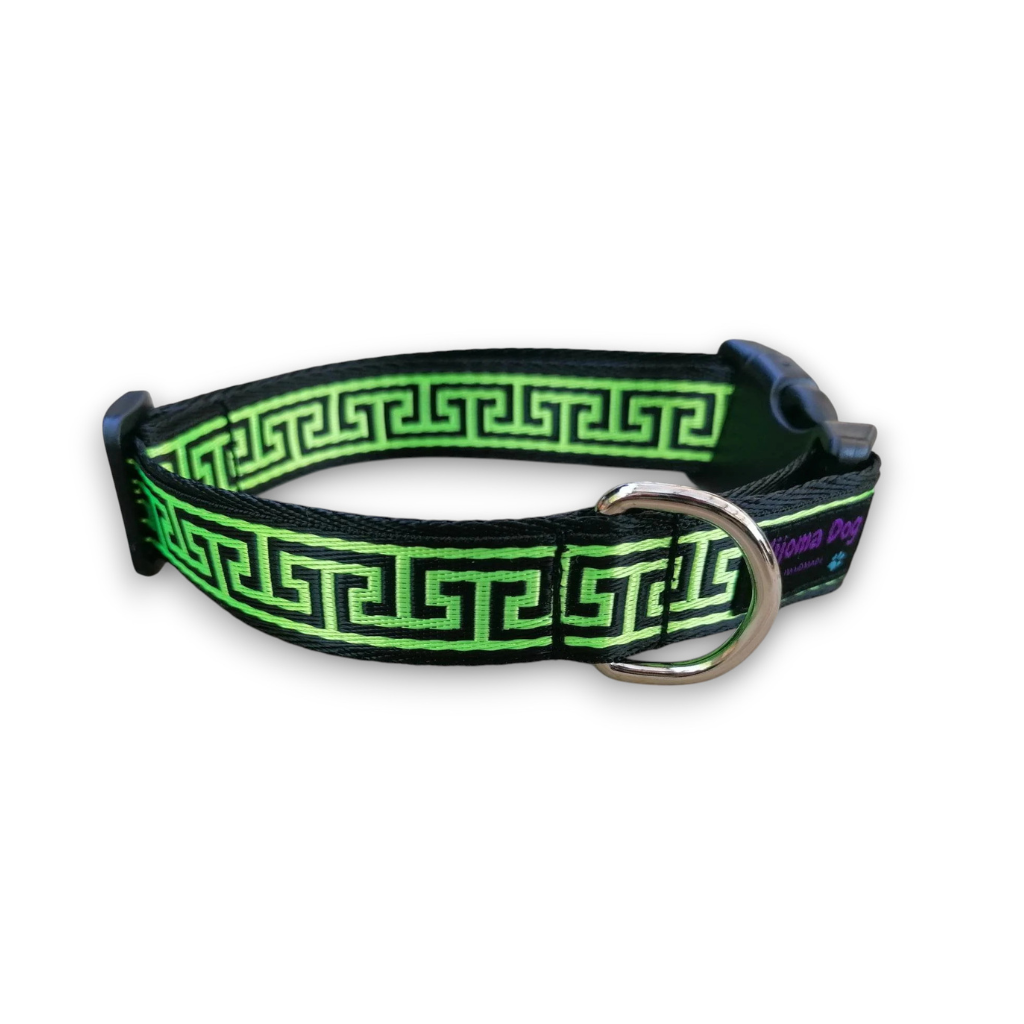 Hundehalsband 2.5cm  "Paco"