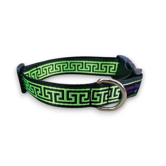 Hundehalsband 2.5cm  "Paco"