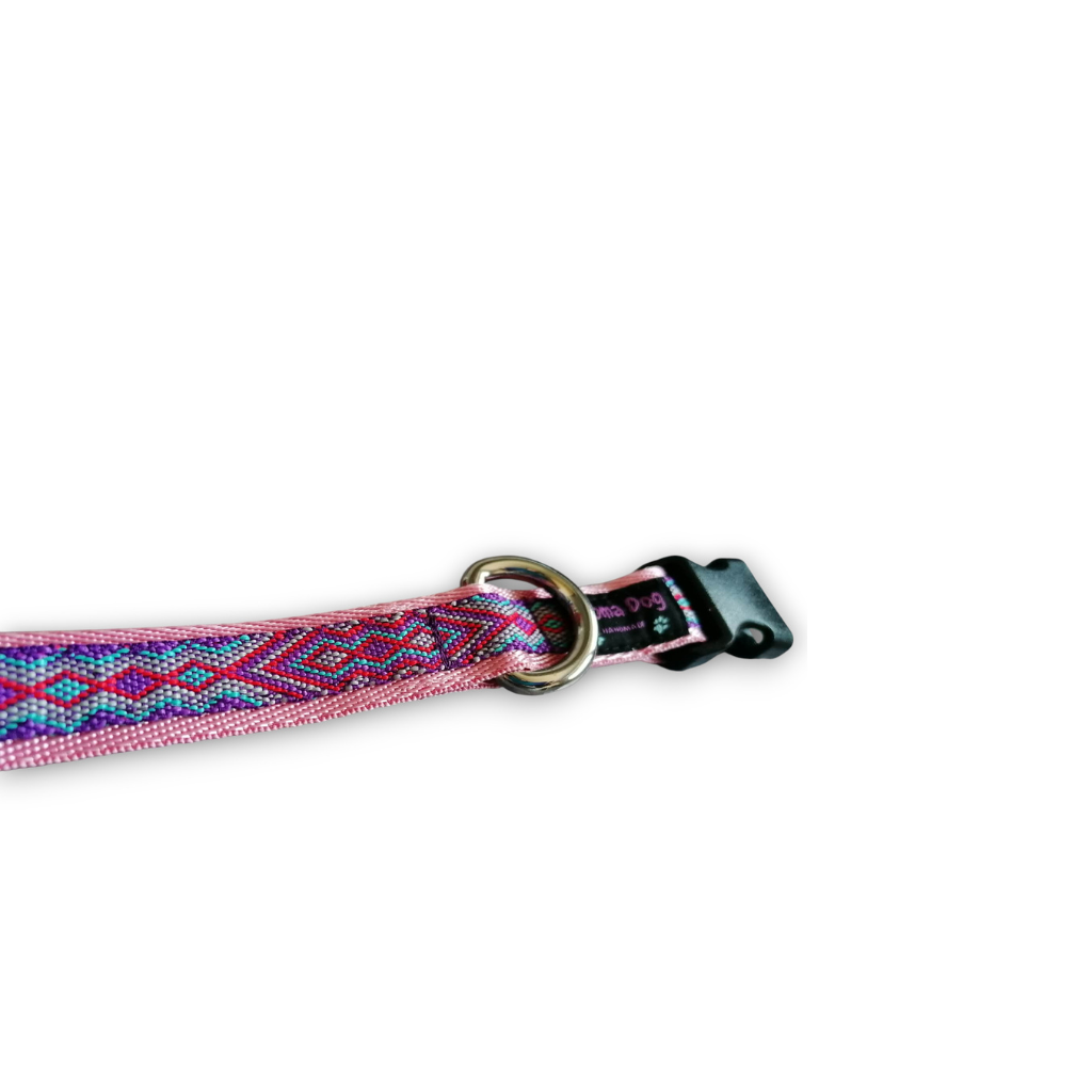 Hundehalsband 2cm  "Rami rosa"