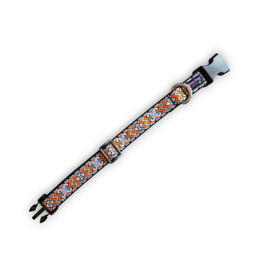 Hundehalsband 2.5cm  "Shira"