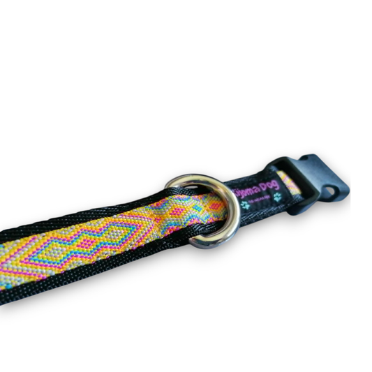 Hundehalsband 2cm  "Solina"
